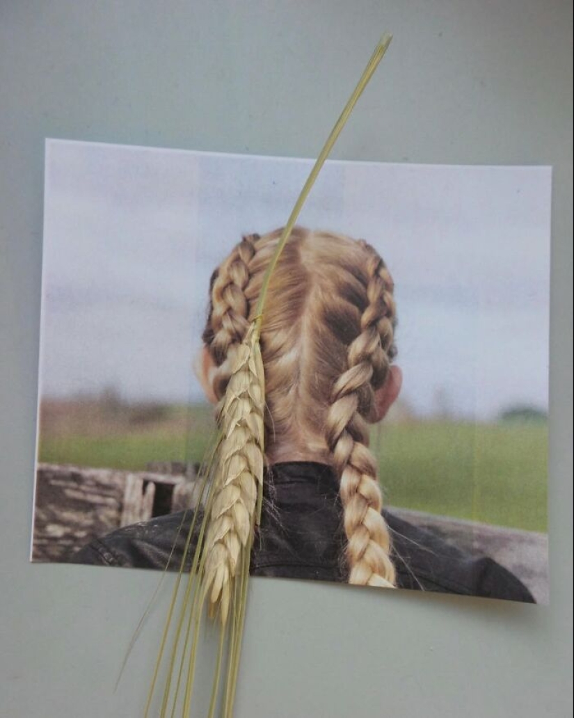 Mind-Bending Creativity: 16 Surreal Fusions By Dudi Ben Simon