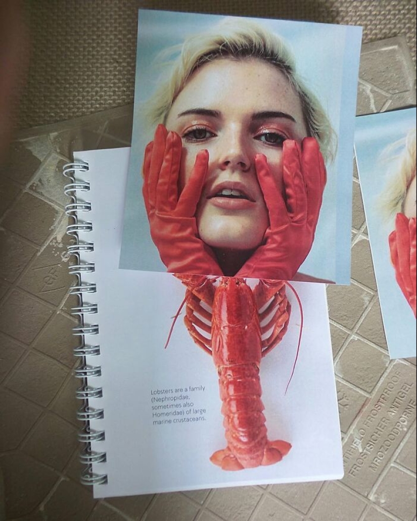 Mind-Bending Creativity: 16 Surreal Fusions By Dudi Ben Simon