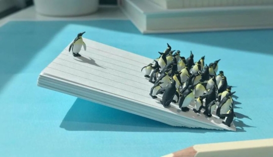 "Miniature office»: how a photographer copes with boredom at work