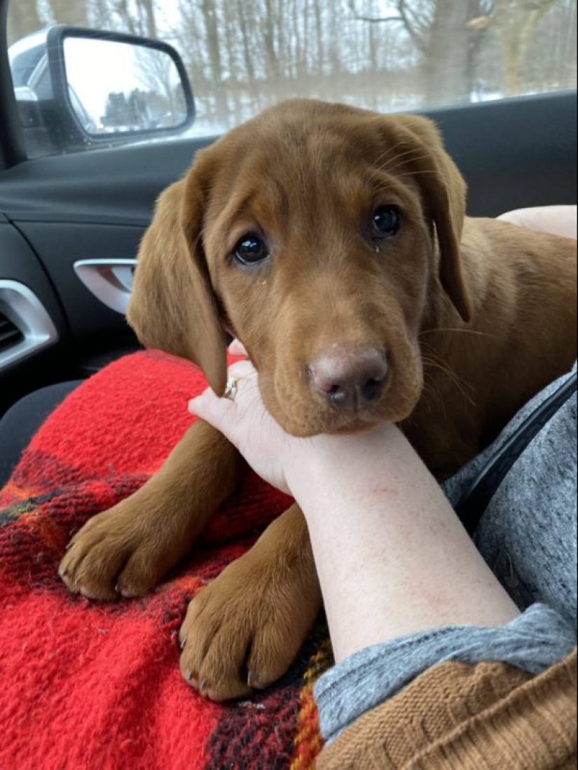 Minimisethe rolls! 25 funny animals that will conquer your heart Minimisethe rolls! 25 funny animals that will conquer your heart