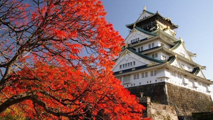 Momijigari: How the Japanese Turned Autumn Maple Admiration into an Art Momijigari: How the Japanese Turned Autumn Maple Admiration into an Art