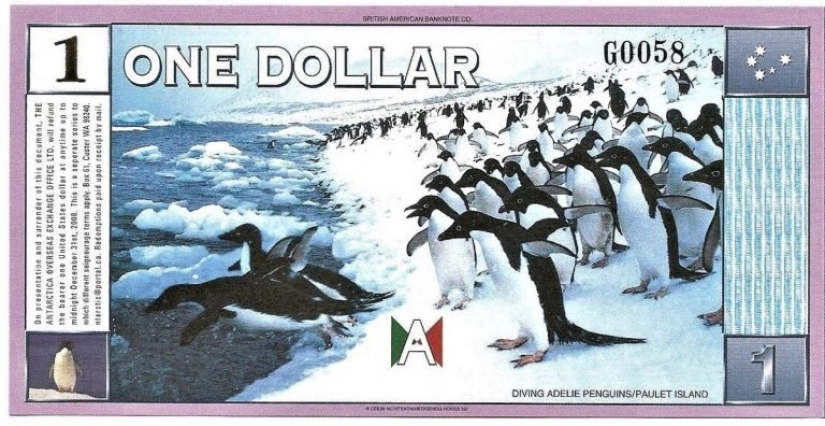 Money is a serious thing – amazing bills and coins from all over the world Money is a serious thing – amazing bills and coins from all over the world