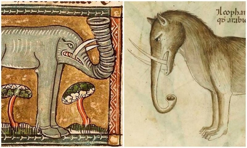 Monster nosed: in the middle Ages painted elephants