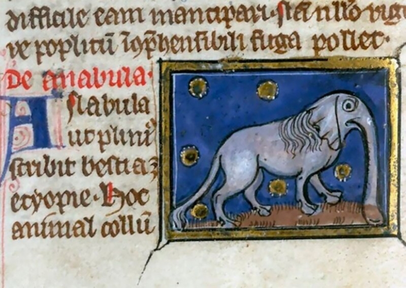 Monster nosed: in the middle Ages painted elephants