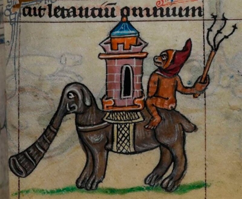 Monster nosed: in the middle Ages painted elephants