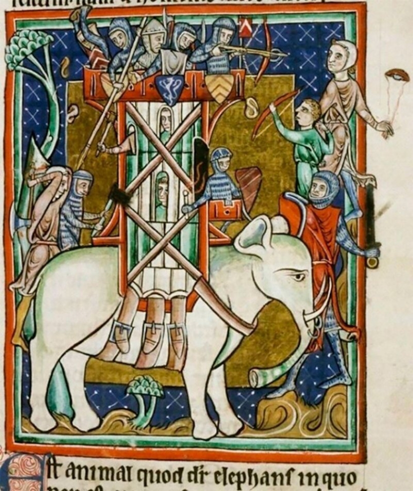 Monster nosed: in the middle Ages painted elephants