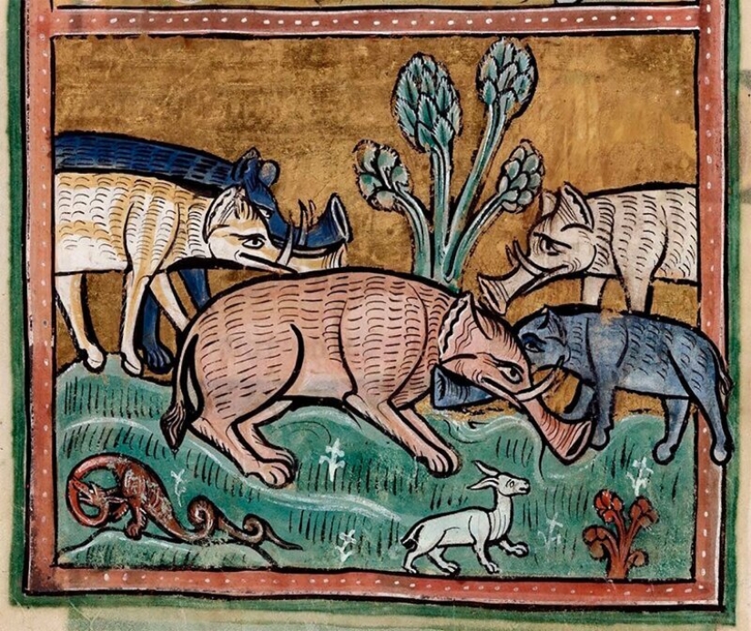 Monster nosed: in the middle Ages painted elephants