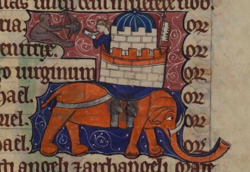 Monster nosed: in the middle Ages painted elephants