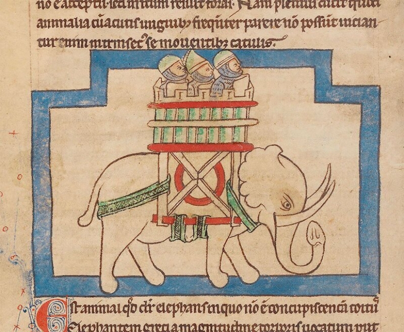 Monster nosed: in the middle Ages painted elephants