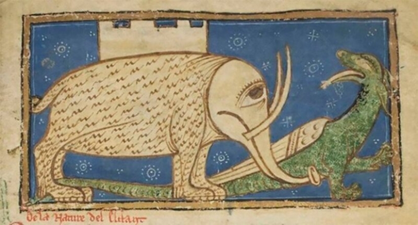 Monster nosed: in the middle Ages painted elephants