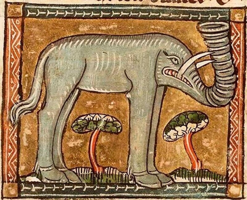 Monster nosed: in the middle Ages painted elephants