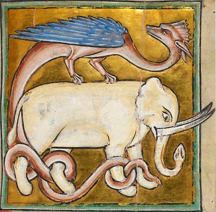 Monster nosed: in the middle Ages painted elephants