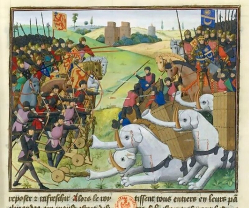 Monster nosed: in the middle Ages painted elephants