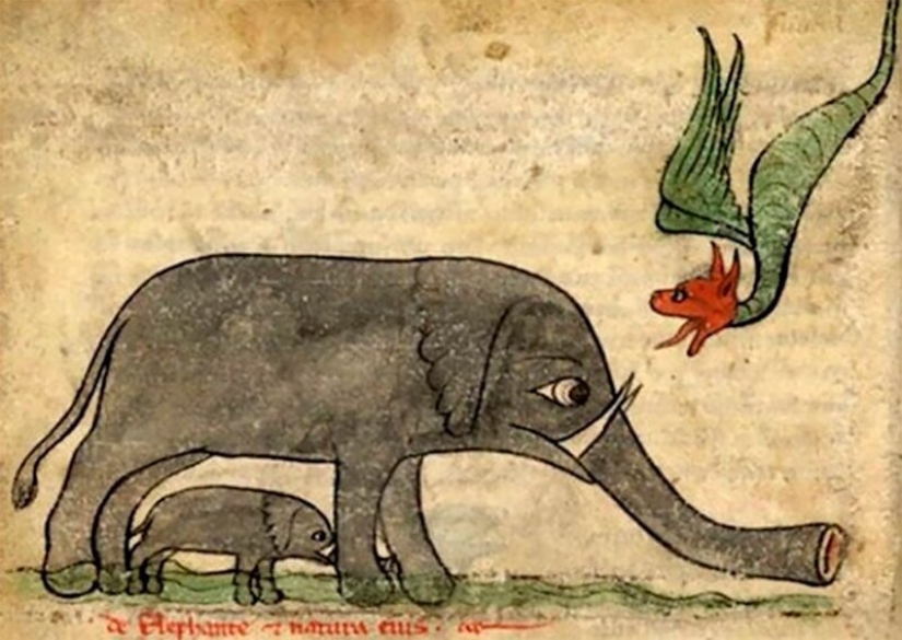 Monster nosed: in the middle Ages painted elephants