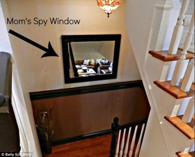 "Mother Echidna": dubious life hacks for tired parents