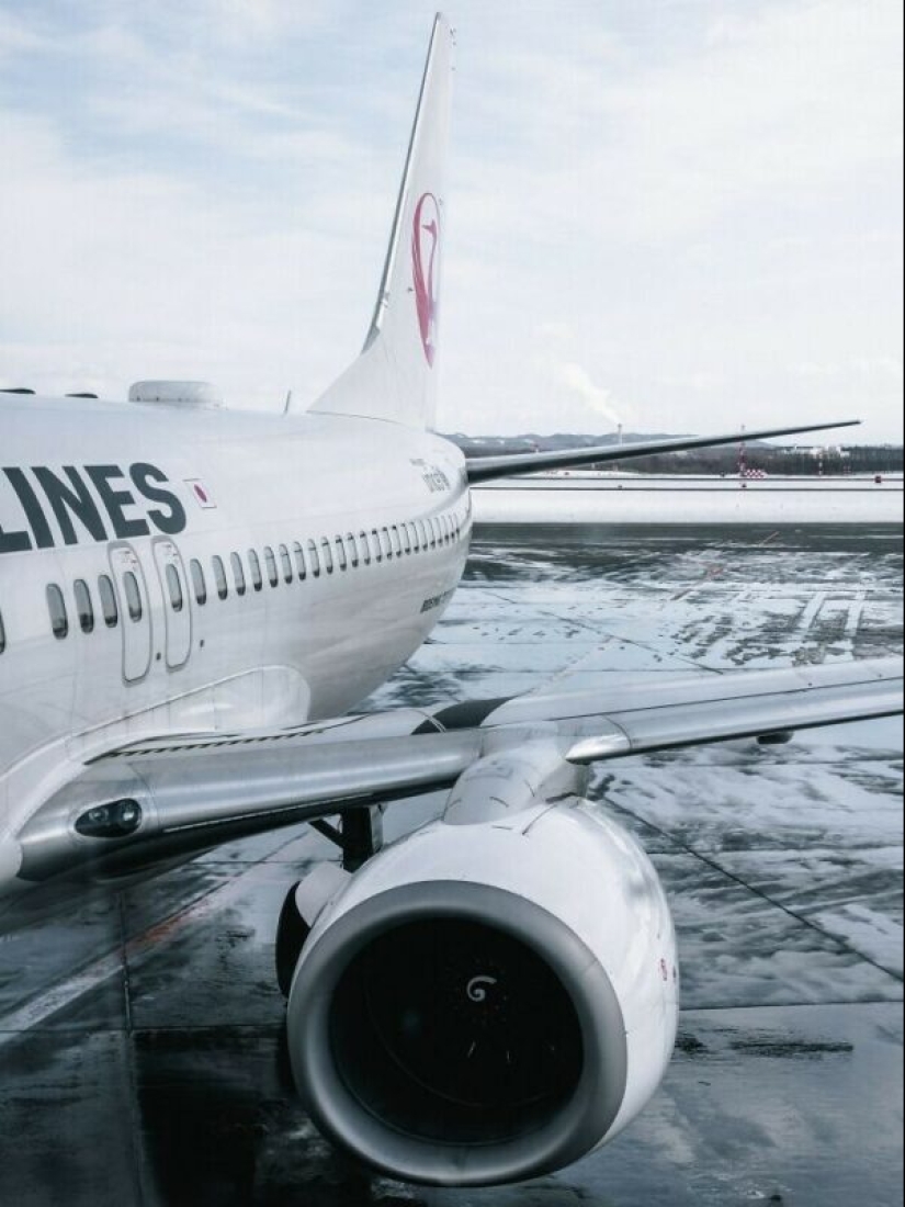 más de 20 secretos e historias de asistentes de vuelo que no se contarán a los pasajeros comunes