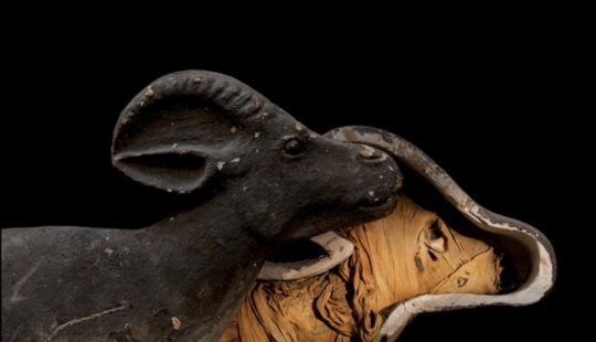 Mummies... pets of the pharaohs Mummies... pets of the pharaohs