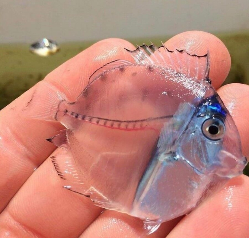 Mundo maravilloso: 42 increíbles y hermosas fotos Mundo maravilloso: 42 increíbles y hermosas fotos