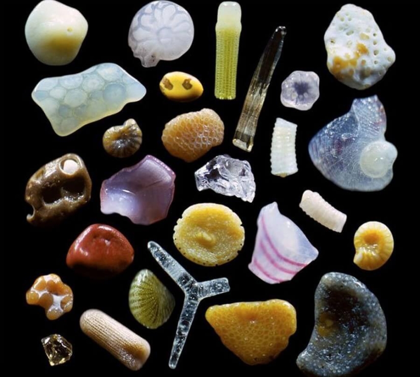 Mundo maravilloso: 42 increíbles y hermosas fotos Mundo maravilloso: 42 increíbles y hermosas fotos