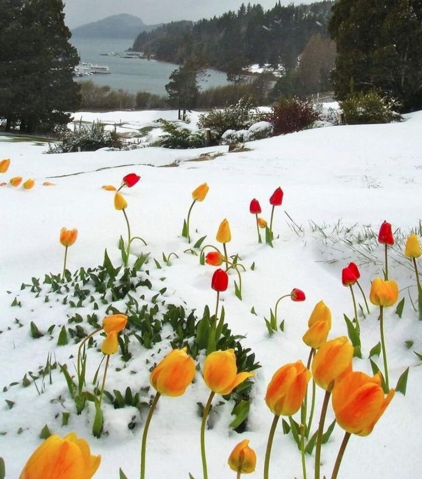 Mundo maravilloso: 42 increíbles y hermosas fotos Mundo maravilloso: 42 increíbles y hermosas fotos