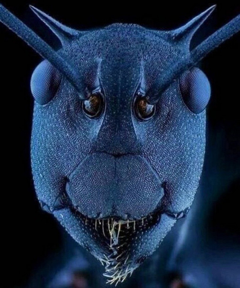 Mundo maravilloso: 42 increíbles y hermosas fotos Mundo maravilloso: 42 increíbles y hermosas fotos