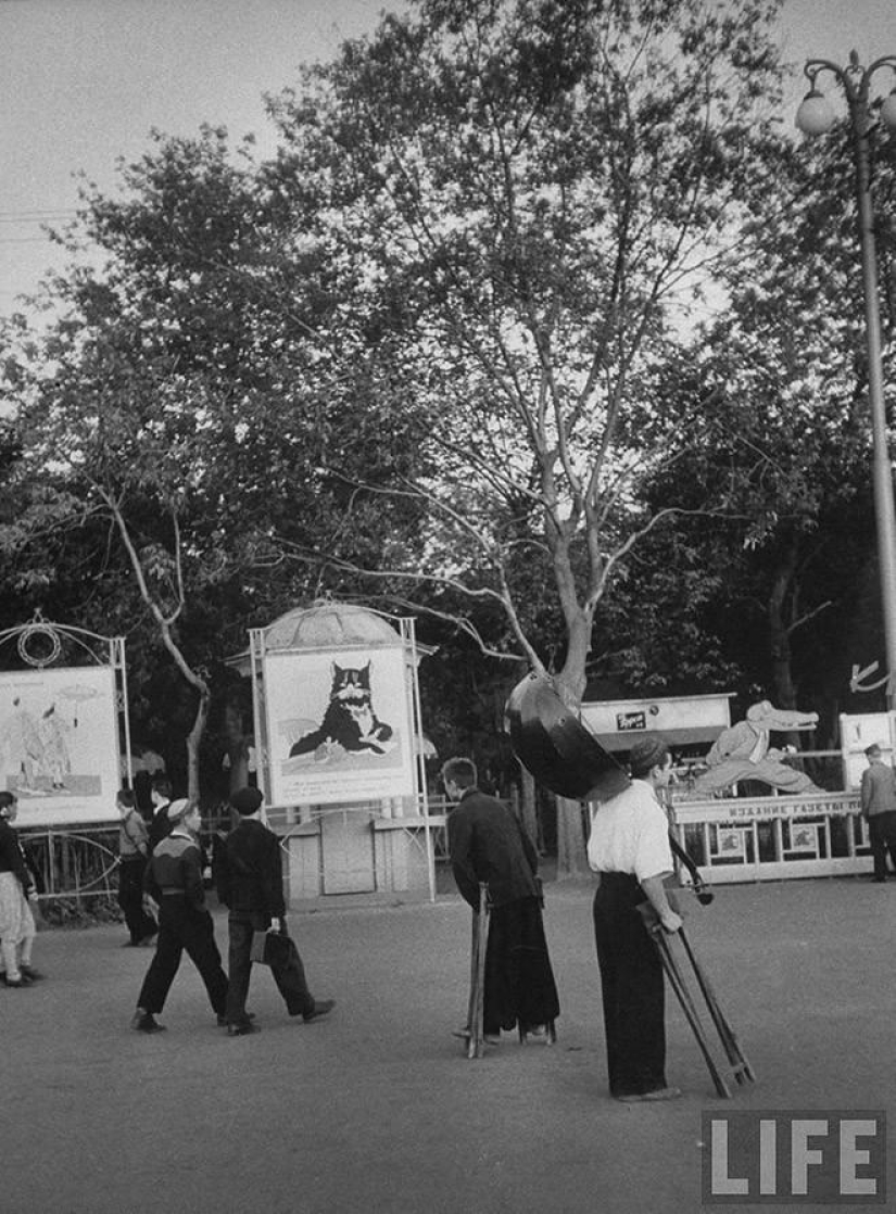 Muscovites in 1956 in pictures by LIFE photographer Lisa Larsen Muscovites in 1956 in pictures by LIFE photographer Lisa Larsen