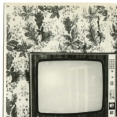 "My first telly": Soviet people and their coveted acquisition "My first telly": Soviet people and their coveted acquisition