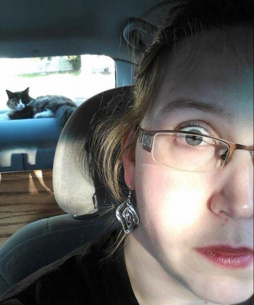 My house, my cat: photo of cats that walk on other people's homes