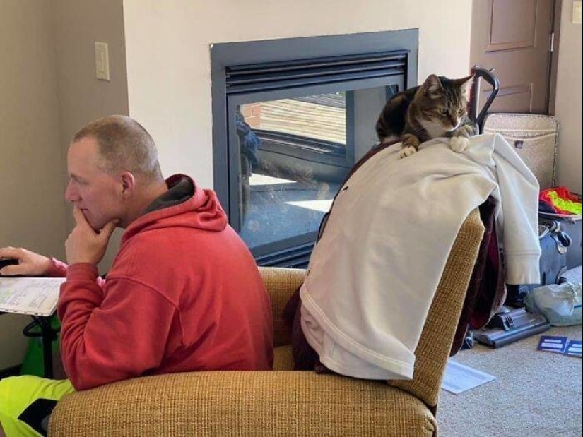 My house, my cat: photo of cats that walk on other people's homes