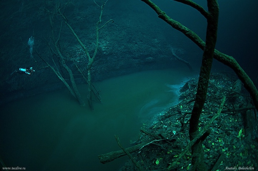 Mysterious underwater river flows along the ocean floor in Mexico Mysterious underwater river flows along the ocean floor in Mexico