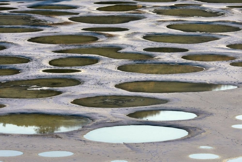 Natural phenomena that are hard to believe