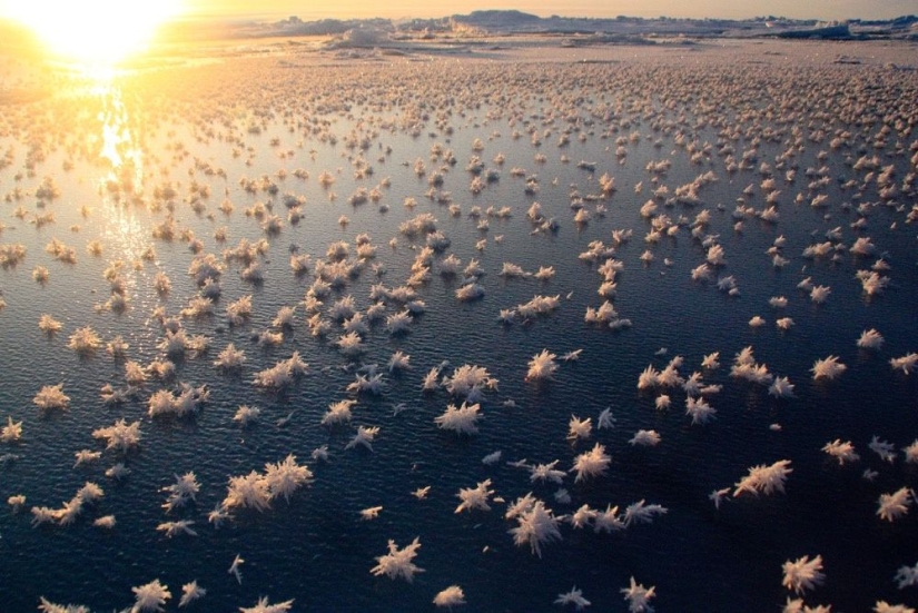 Natural phenomena that are hard to believe