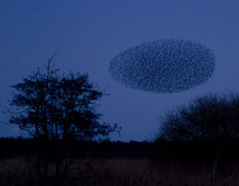 Natural phenomena that are hard to believe