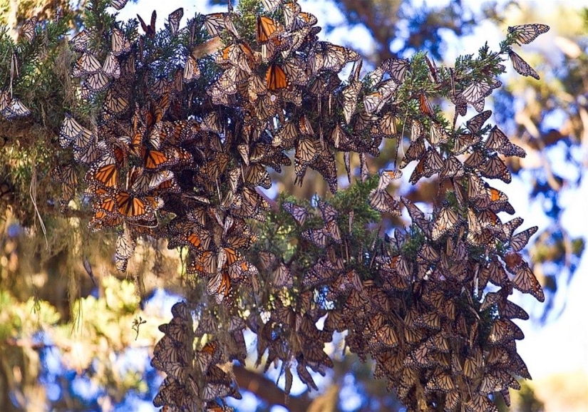 Natural phenomena that are hard to believe