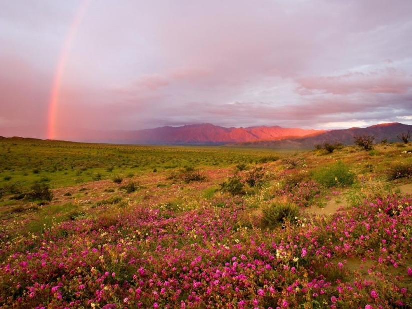Natural phenomena that are hard to believe