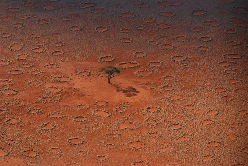 Natural phenomena that are hard to believe