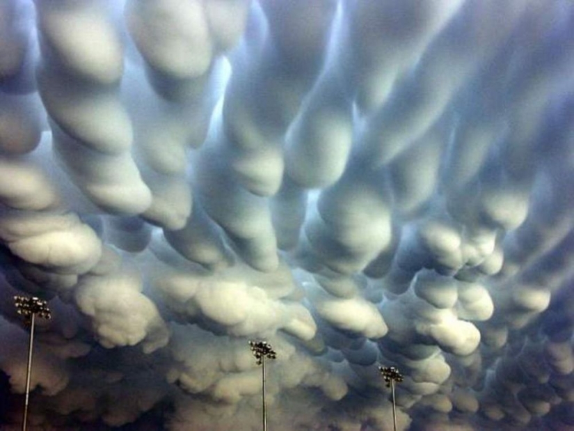 Natural phenomena that are hard to believe