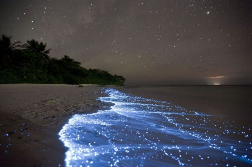 Natural phenomena that are hard to believe