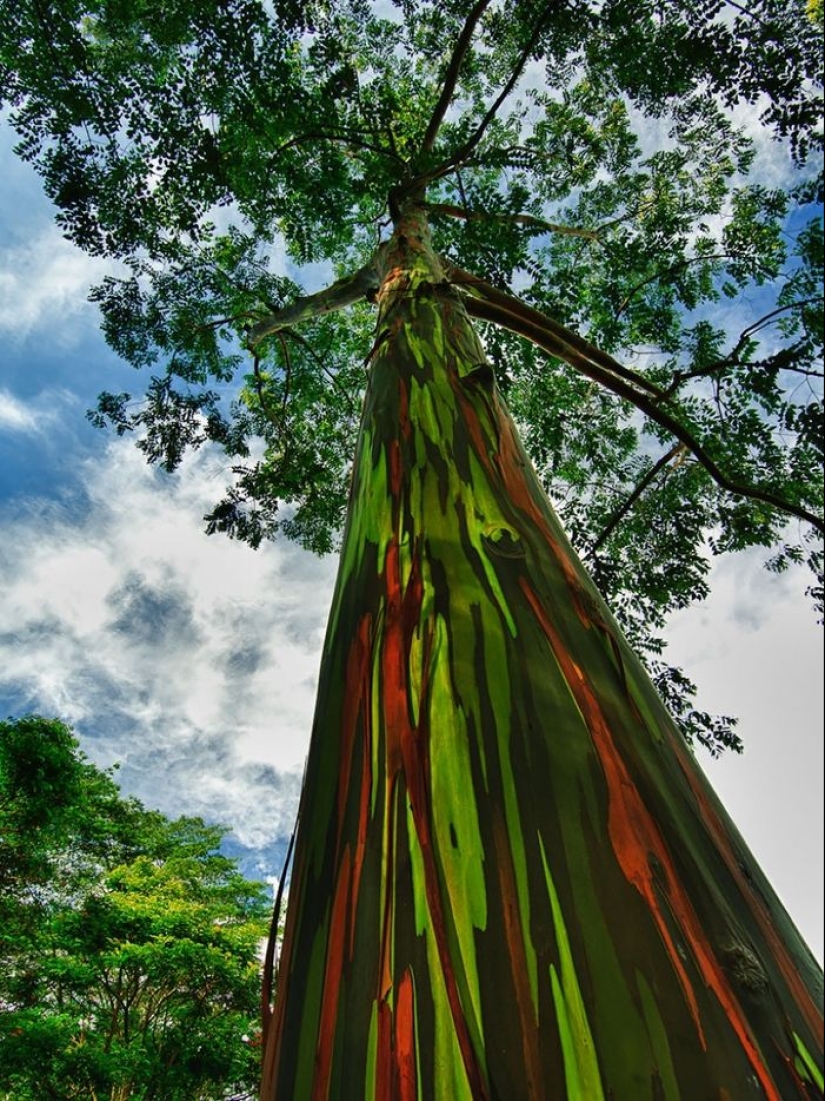 Natural phenomena that are hard to believe