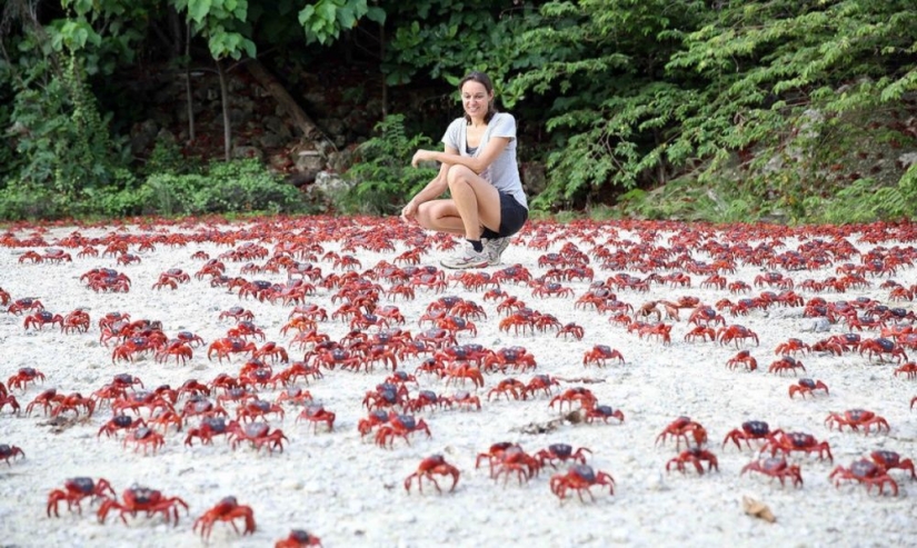 Natural phenomena that are hard to believe