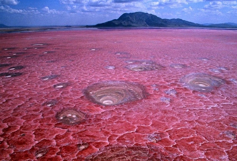 Natural phenomena that are hard to believe