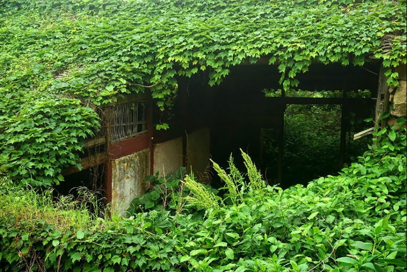 Nature-absorbed fishing village Nature-absorbed fishing village