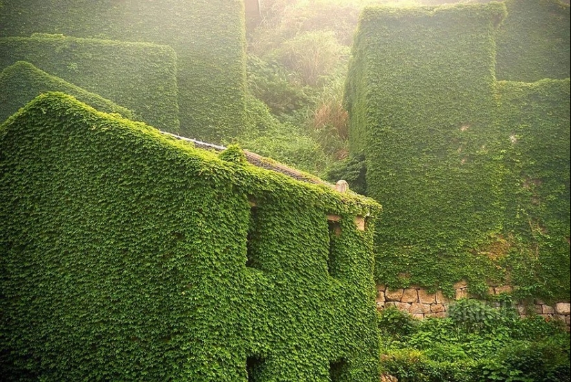 Nature-absorbed fishing village Nature-absorbed fishing village