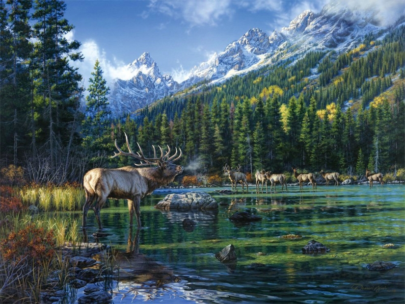 Nature and wildlife in the work of Darrell Bush: beauty in every detail Nature and wildlife in the work of Darrell Bush: beauty in every detail