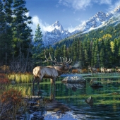 Nature and wildlife in the work of Darrell Bush: beauty in every detail Nature and wildlife in the work of Darrell Bush: beauty in every detail