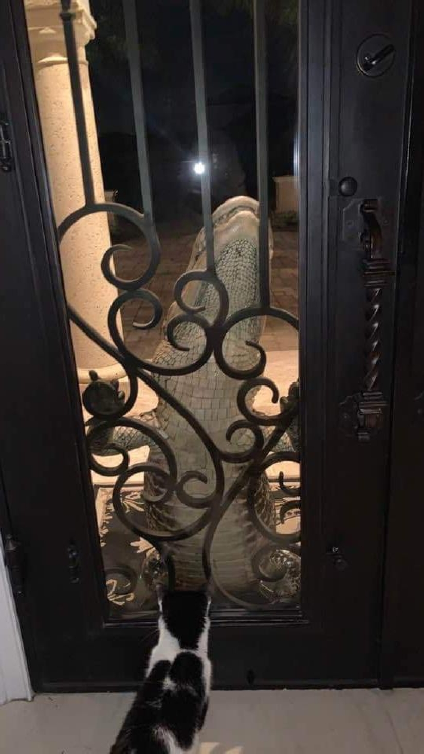 Nature is not to be trifled with! 22 photos that will convince you of this Nature is not to be trifled with! 22 photos that will convince you of this