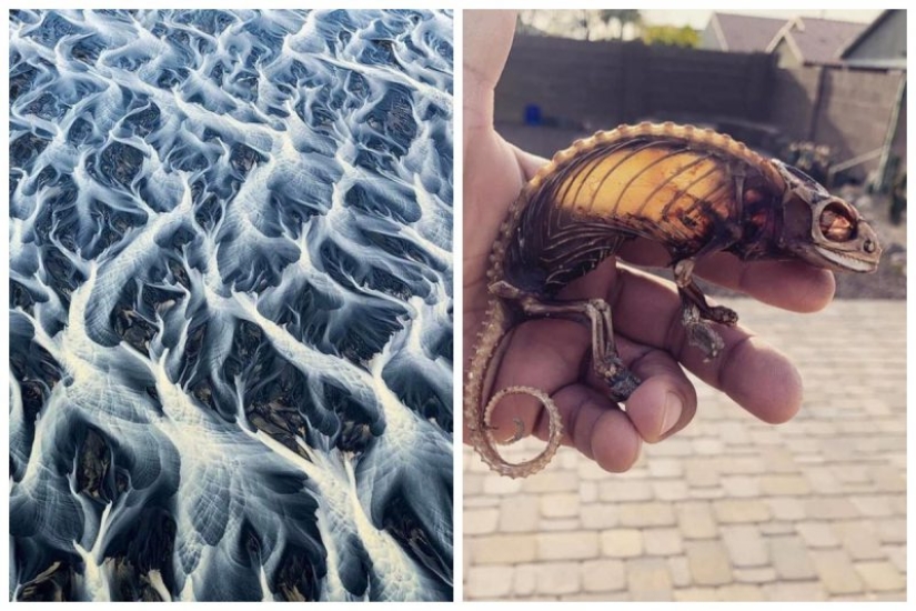 Nature is the best artist, and that's 17 evidence