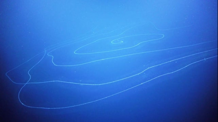 Nature is the best artist, and that's 17 evidence