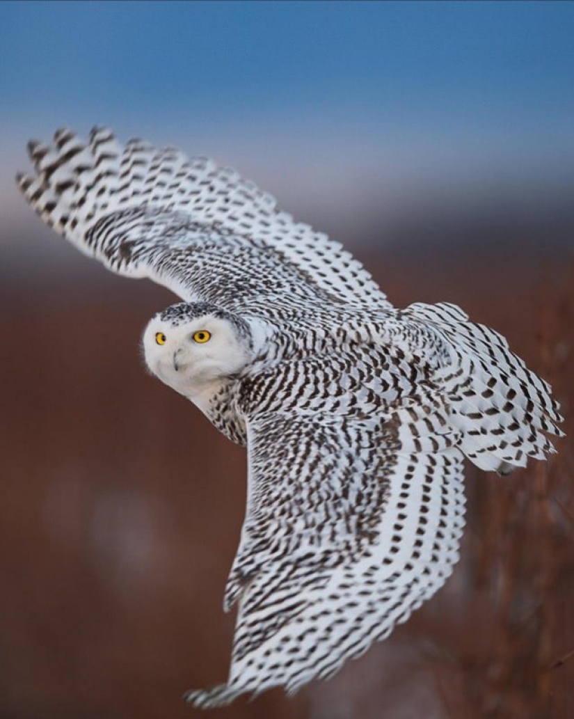 Nature is the best artist, and that's 17 evidence