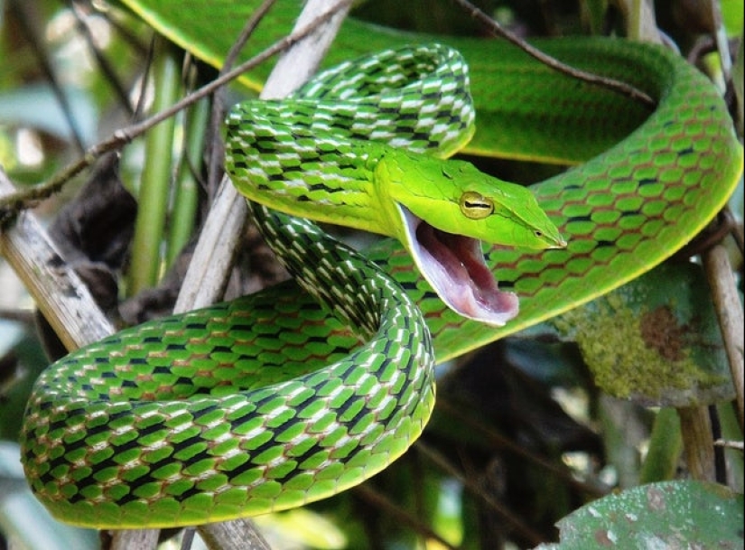 Nature is the best artist, and that's 17 evidence